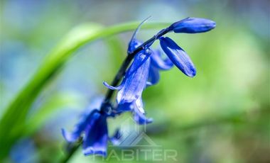 Agrícola en Venta en COD37523 Segunda faja sector Candelaría