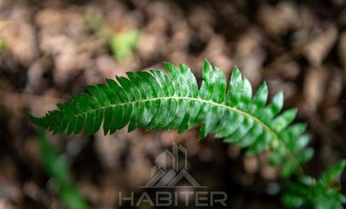 Agrícola en Venta en COD37523 Segunda faja sector Candelaría