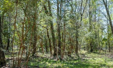 Agrícola en Venta en COD37523 Segunda faja sector Candelaría