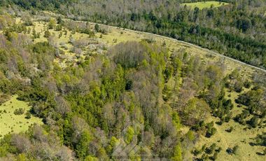 Agrícola en Venta en COD37523 Segunda faja sector Candelaría