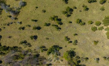 Agrícola en Venta en COD37523 Segunda faja sector Candelaría