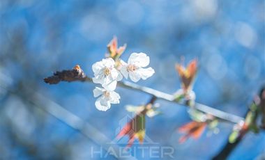 Agrícola en Venta en COD37523 Segunda faja sector Candelaría