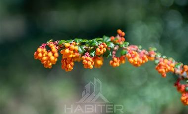 Agrícola en Venta en COD37523 Segunda faja sector Candelaría