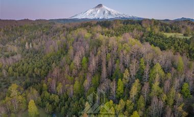 Agrícola en Venta en COD37523 Segunda faja sector Candelaría