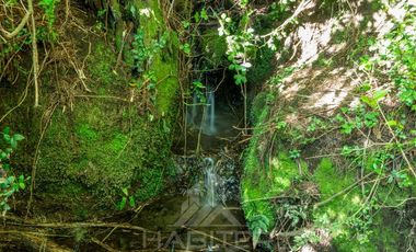 Agrícola en Venta en COD37523 Segunda faja sector Candelaría