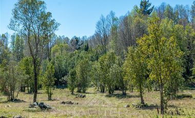 Agrícola en Venta en COD37523 Segunda faja sector Candelaría