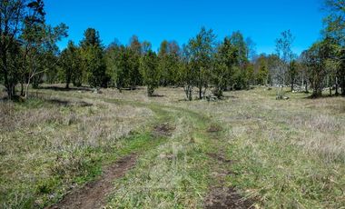 Agrícola en Venta en COD37523 Segunda faja sector Candelaría