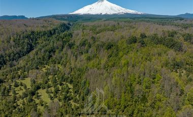 Agrícola en Venta en COD37523 Segunda faja sector Candelaría