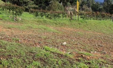 Lote en venta altos del Poblado