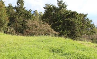 Lote en venta altos del Poblado