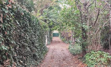 CAMINO BUIN MAIPO PARADERO 6