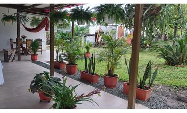 Venta Finca Vereda La Mesa Baja, Quimbaya, Quindío