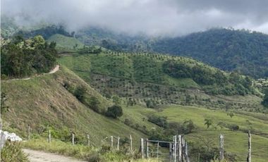 Se Vende Hermosa Hacienda Cafetera en Chiriquí