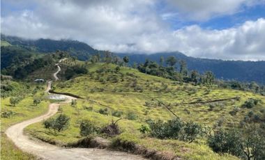 Se Vende Hermosa Hacienda Cafetera en Chiriquí