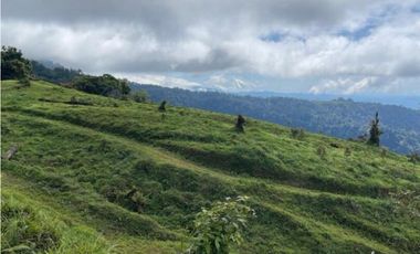 Se Vende Hermosa Hacienda Cafetera en Chiriquí