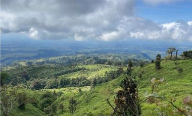 Se Vende Hermosa Hacienda Cafetera en Chiriquí