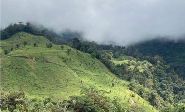 Se Vende Hermosa Hacienda Cafetera en Chiriquí