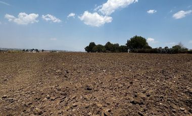 TERRENO RUSTICO  EN VENTA EN CHIPILO, PUEBLA
