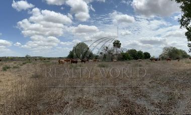 Ranchos en Venta en San Manuel