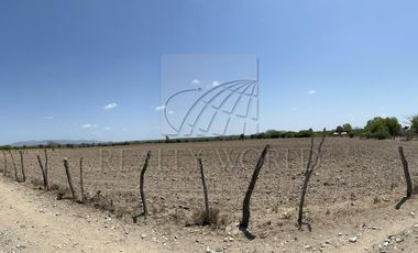 Ranchos en Venta en San Manuel