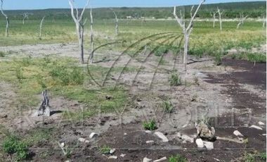 Ranchos en Venta en Barretal