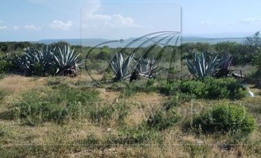 Ranchos en Venta en Barretal