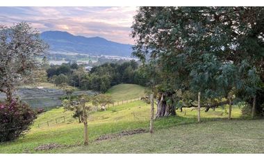 Finca en venta en La Ceja
