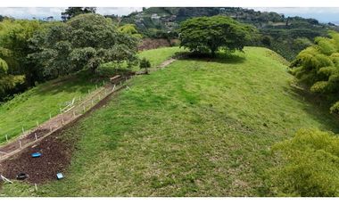 Lotes via Condina-Pereira