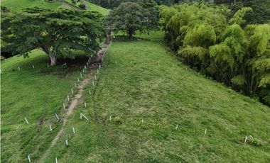 Lotes via Condina-Pereira