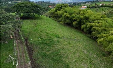 Lotes via Condina-Pereira