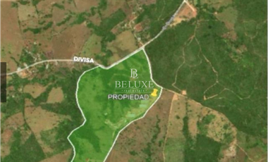 VENDO FINCA GANADERA EN EL ESPINO, LA CHORRERA, PANAMA OESTE (9)