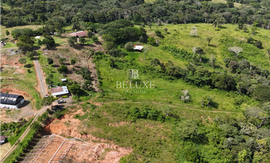 VENDO FINCA GANADERA EN EL ESPINO, LA CHORRERA, PANAMA OESTE (9)