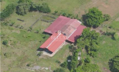 VENDO FINCA GANADERA EN EL ESPINO, LA CHORRERA, PANAMA OESTE (9)