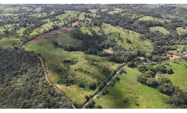 VENDO FINCA GANADERA EN EL ESPINO, LA CHORRERA, PANAMA OESTE (9)