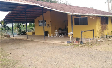 VENDO FINCA GANADERA EN EL ESPINO, LA CHORRERA, PANAMA OESTE (9)