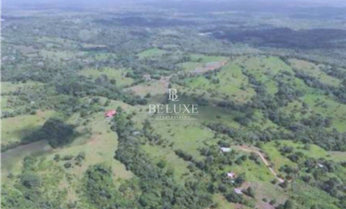 VENDO FINCA GANADERA EN EL ESPINO, LA CHORRERA, PANAMA OESTE (9)