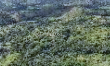 VENDO FINCA GANADERA EN EL ESPINO, LA CHORRERA, PANAMA OESTE (9)