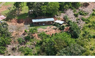 VENDO FINCA GANADERA EN EL ESPINO, LA CHORRERA, PANAMA OESTE (9)