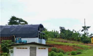 VENDO FINCA GANADERA EN EL ESPINO, LA CHORRERA, PANAMA OESTE (9)