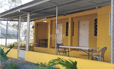 VENDO FINCA GANADERA EN EL ESPINO, LA CHORRERA, PANAMA OESTE (9)