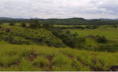 Finca en Venta en Calobre