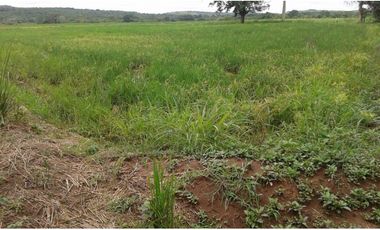 Finca en Venta en Calobre