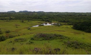 Finca en Venta en Calobre
