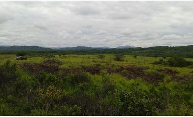 Finca en Venta en Calobre