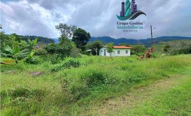 VENDO TERRENO DE 1HECTAREA + EN BAJO BOQUETE