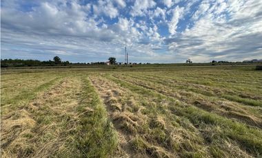 Vendo Terreno de 248 m2 en Caseros, Entre Ríos.