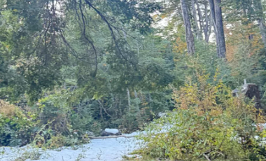 Sitio en Venta en camino a rinconada currarehue