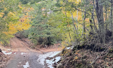 Sitio en Venta en camino a rinconada currarehue