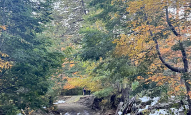 Sitio en Venta en camino a rinconada currarehue