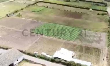 Venta Oportunidad hermoso terreno sector Yaruquí
